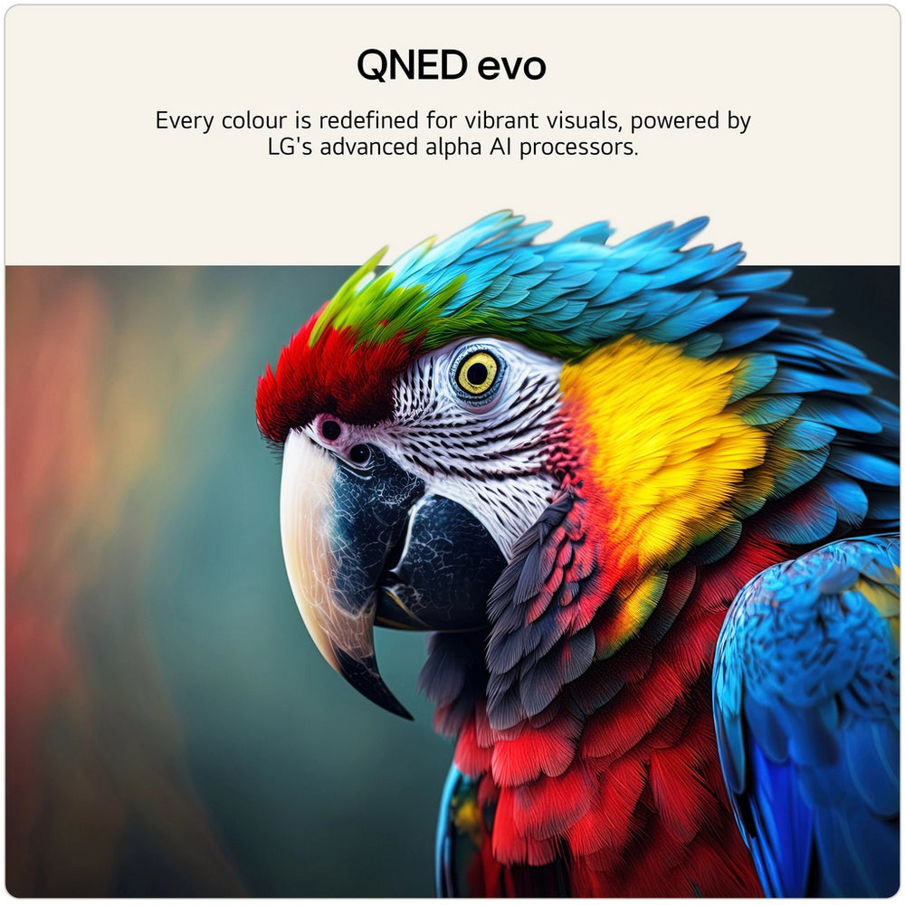 LG 115QNED93B6.AEKQ 115" 4K QNED evo AI Smart TV