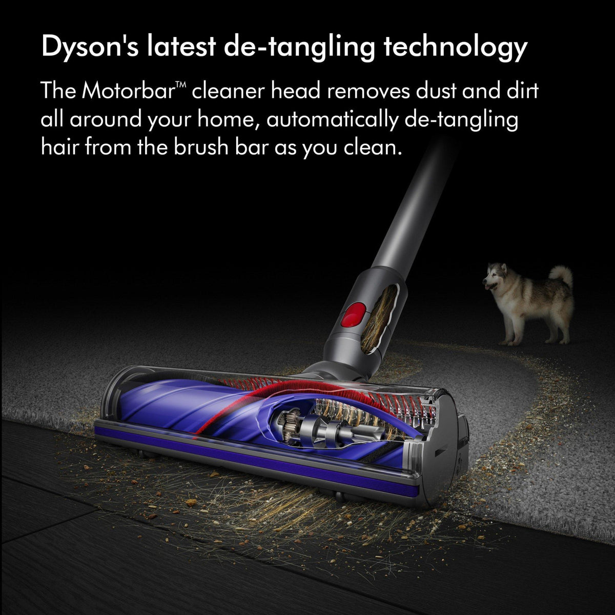 Dyson V11ADVANCED-24 Vacuum Cleaner - Nickel/Purple