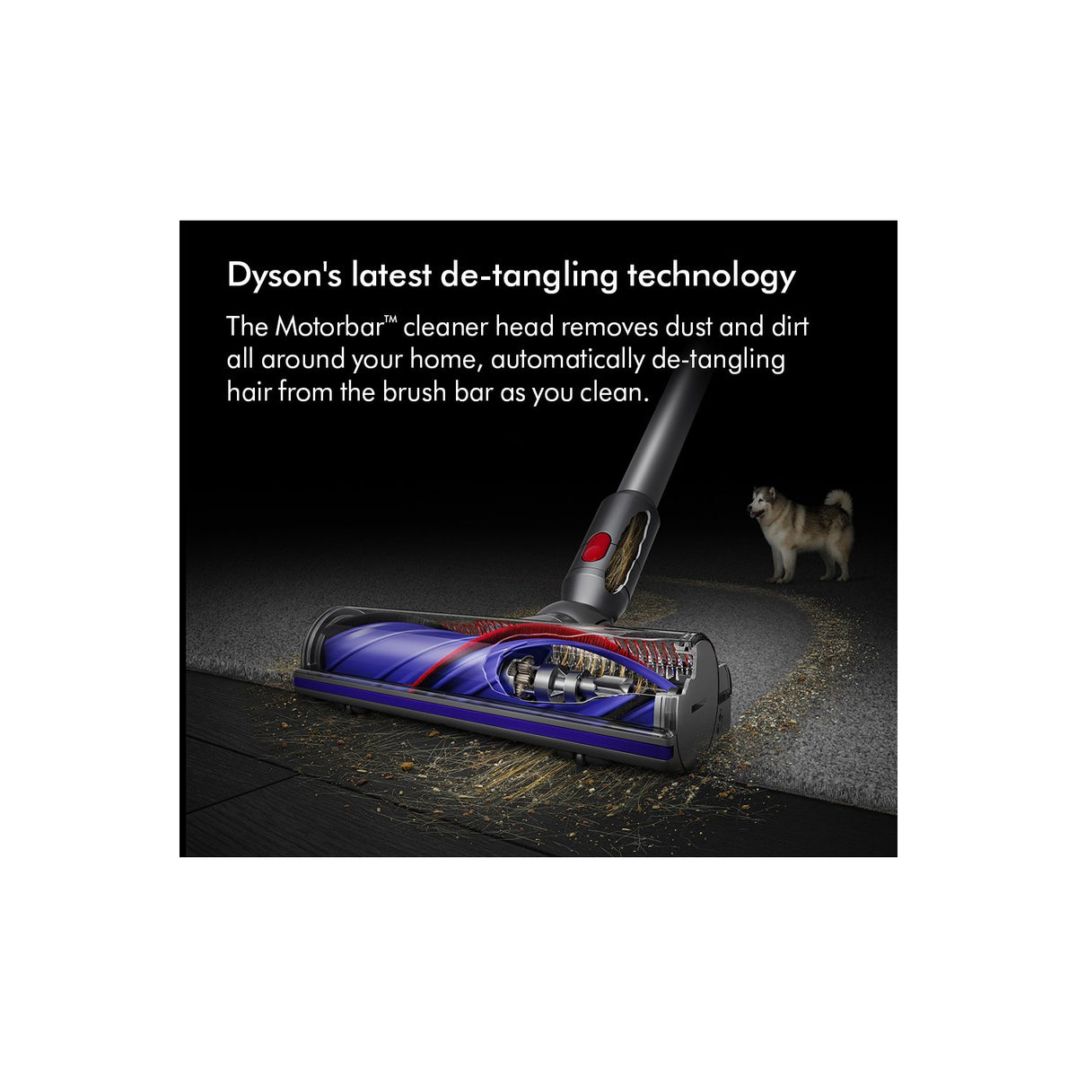 Dyson V8ADVANCED-24 Vacuum Cleaner - Silver/Nickel