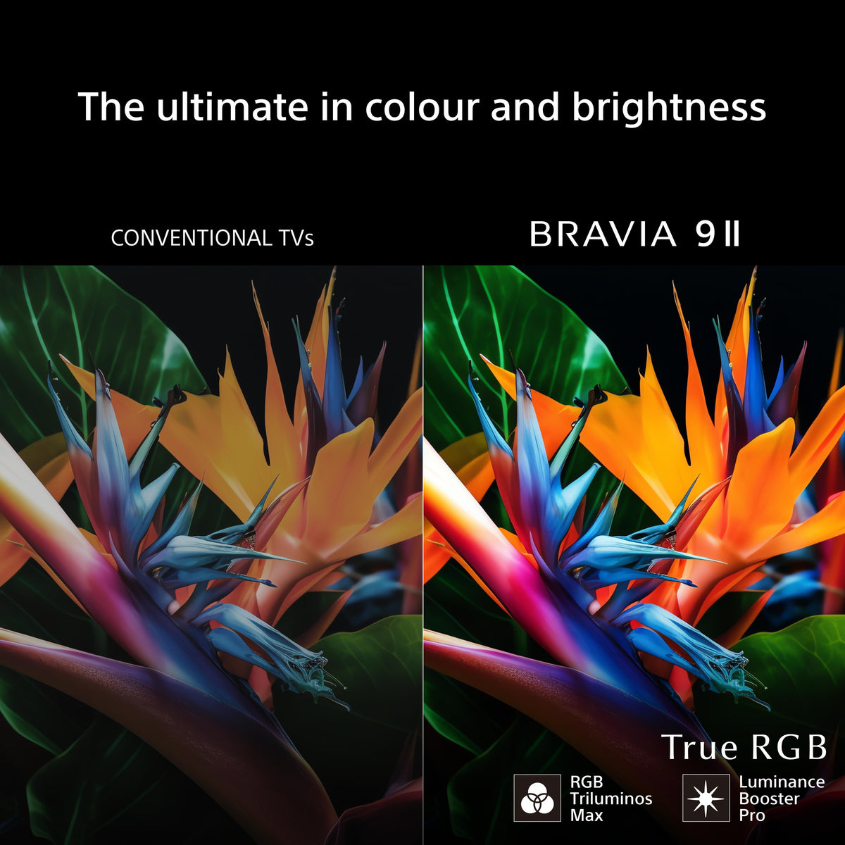 Sony BRAVIA 9 II colour and brightness