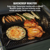 Ninja PG301UKGN FlexFlame Gas BBQ & Outdoor Cooking System - Green