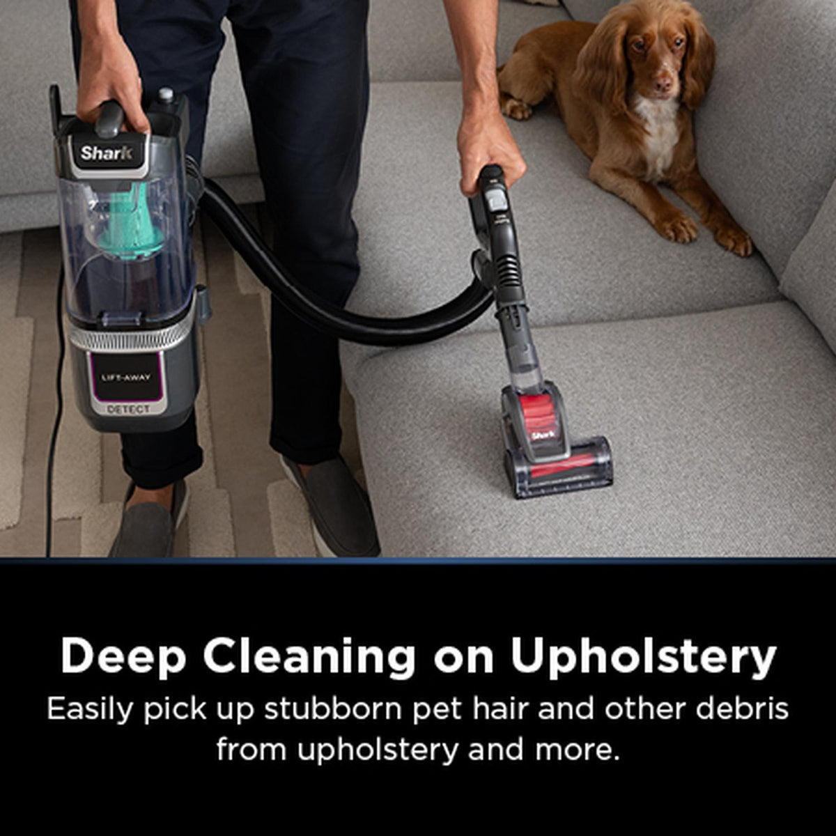 Shark LA450UKT Detect Pet Pro Upright Corded Vacuum - Graphite Grey
